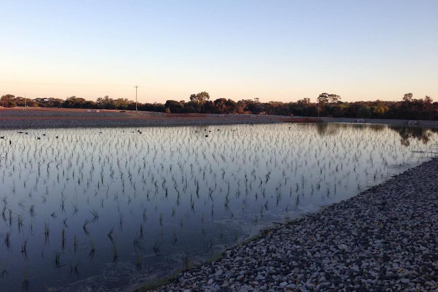 NARROGIN WASTE-WATER TREATMENT PLANT